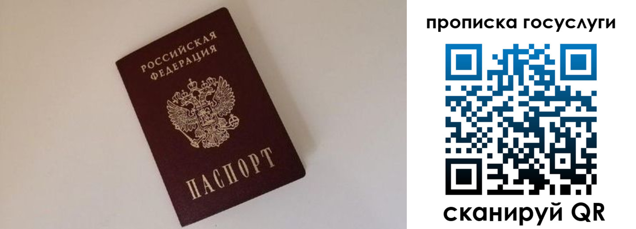 регистрация для дет. сада в Светлогорске