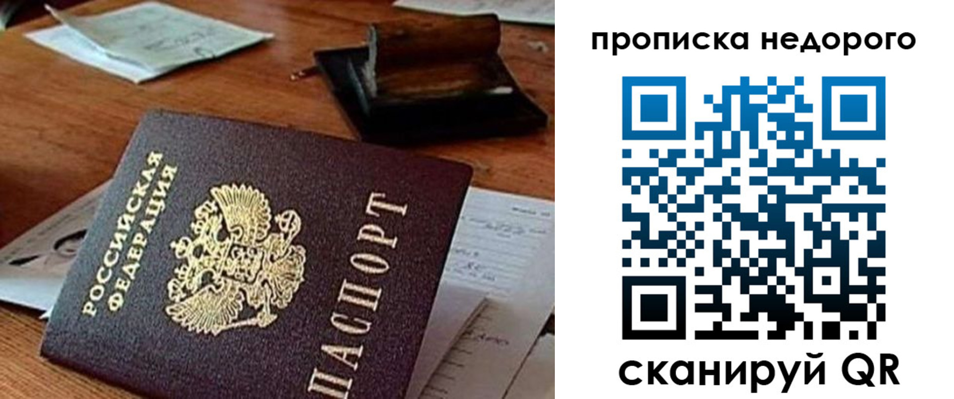прописка в Светлогорске